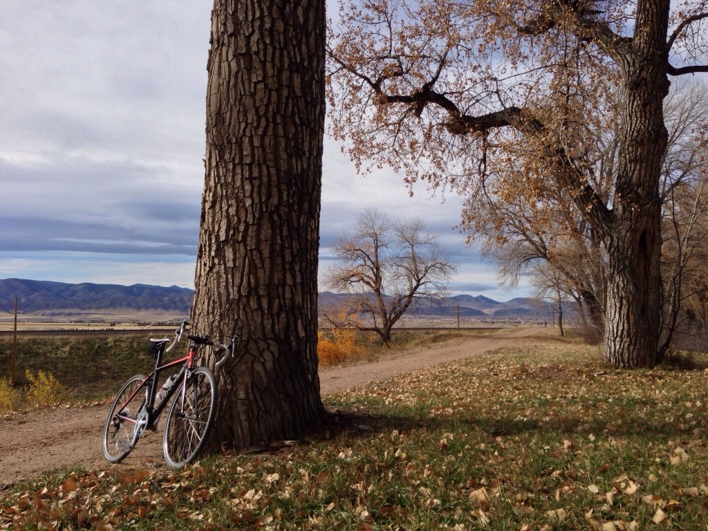 High Line Trail, South of Chatfield