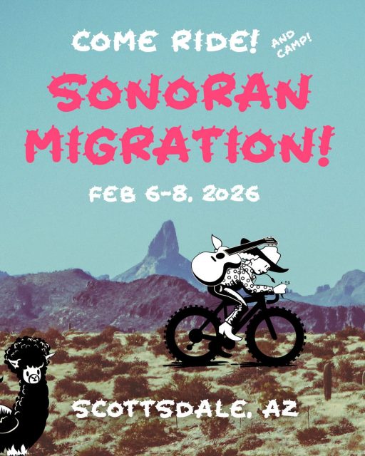 We’re only a few weeks out from bike riding in the desert in Arizona! YOU are invited if you’re into bikes and camping and cactus! Check the link in our profile or head to rodeo-labs.com for the deets. Giddyup!
#bikepacking