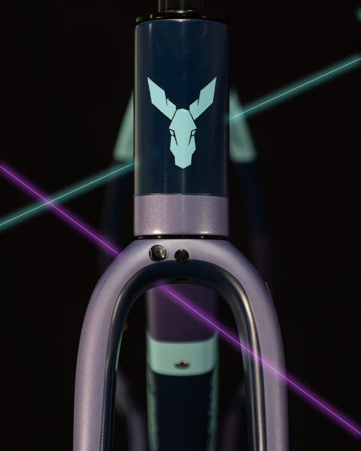 Alena’s custom TD4.2 does not lack for great colors and positive vibes. So much so that we just had to add some lasers to this gallery to match the mood.
 
Happy New Donkey Day Alena! Thanks for the support! 💜💙🩵
 
#traildonkey
#rideexplorecreate