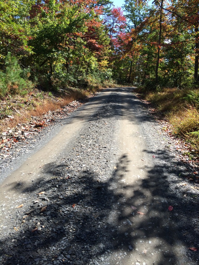 Michaux Gravel - "Deluxe" with Autumn colors appearing. 