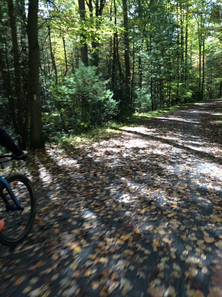 Riding on a portion of the Appalachian Trail near Pine Grove Furnace SP.