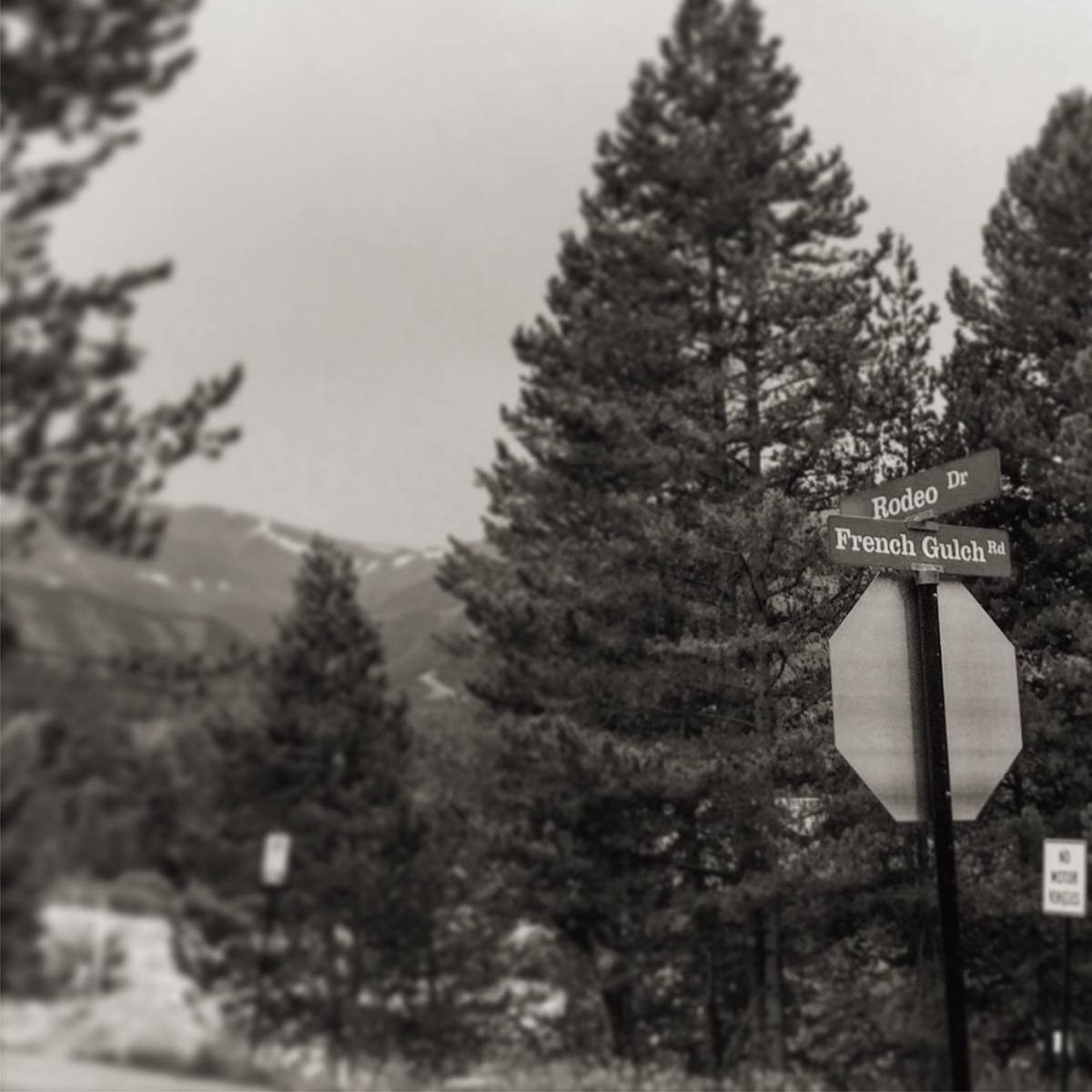 A little bit of a Rodeo in Breck