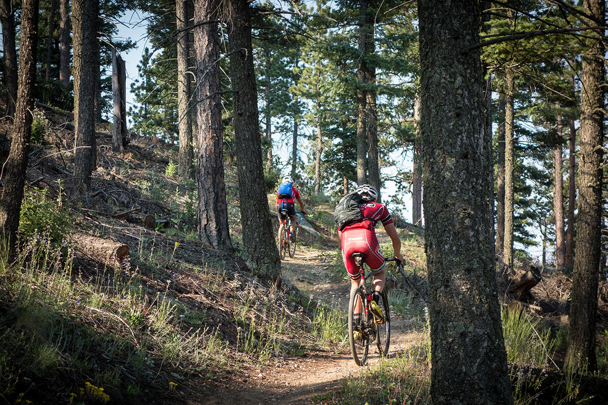 Climbing through the forest