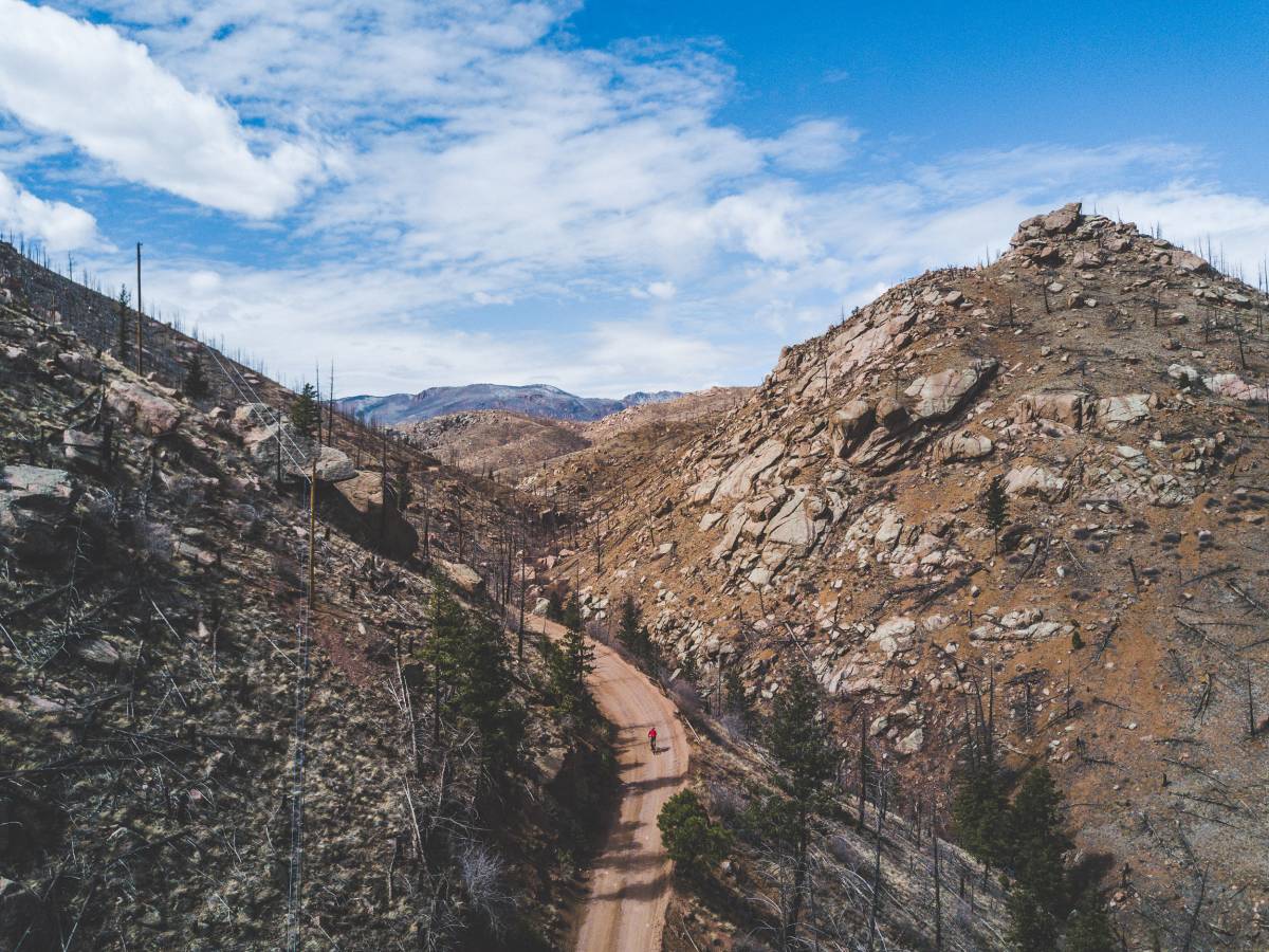 Trees give way to the stark features of the Hayman Burn area. Site of the largest recorded wildfire in Colorado's history. The terrain is minimal but stunning it its own way.