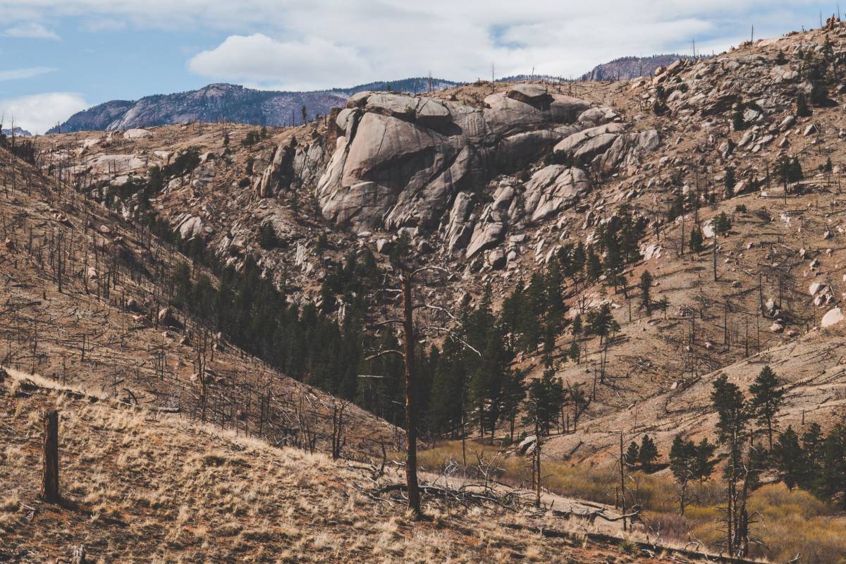 If there hadn't been a fire here I wonder if these rock formations would even be visible...