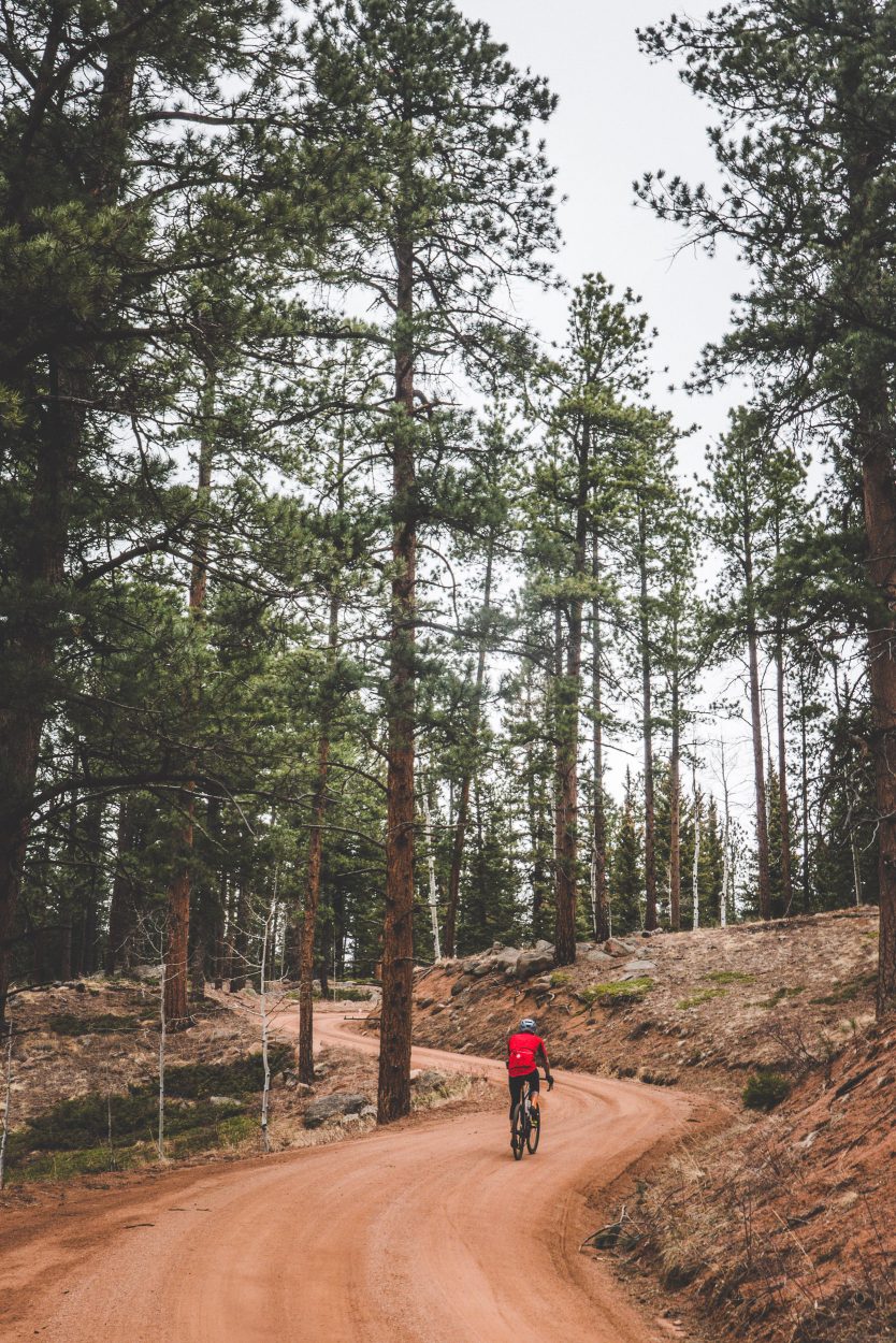 After another climb and a ride through a meadow with a herd of buffalo grazing in it the climb up Stoney Pass begins. The gradients are never very steep, and the increasing foliage are an ever increasing feast for the eyes.