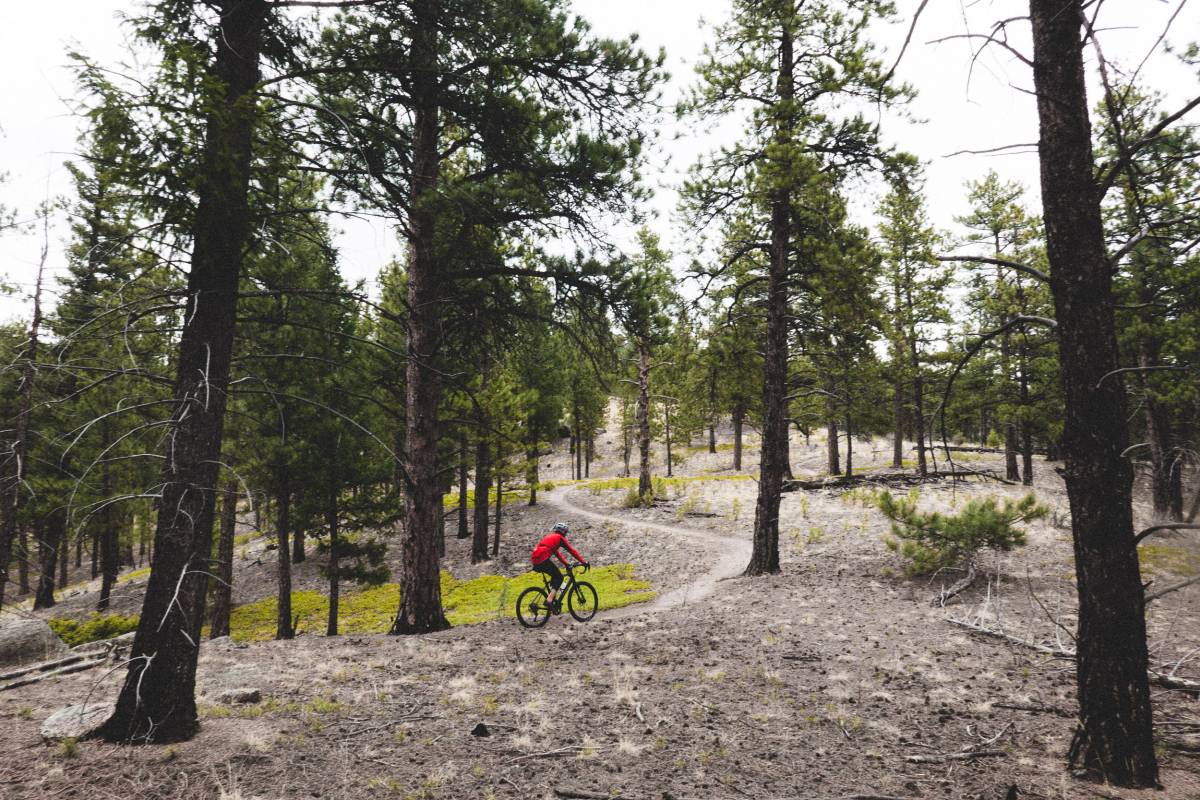 After Wellington another fast dirt road descent takes you to the trail head of the Buffalo Creek trail system. To me this is the highlight of the ride. These trails are fast, flowing, and are some of the finest Traildonkey terrain anywhere.