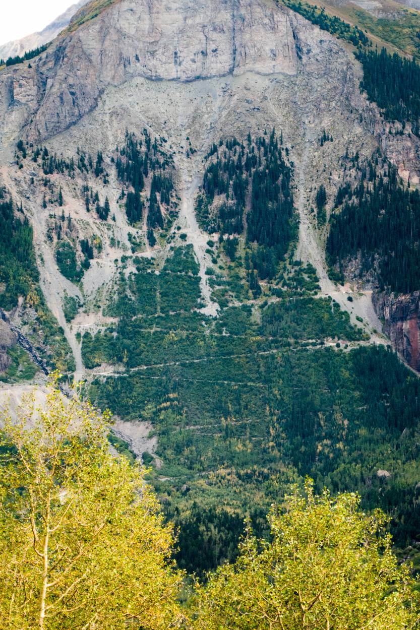 Telluride - Black Bear Switchbacks