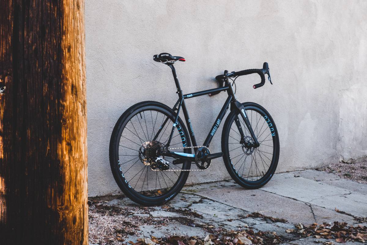 Rodeo Flaanimal 3.0 custom blue gravel adventure bike