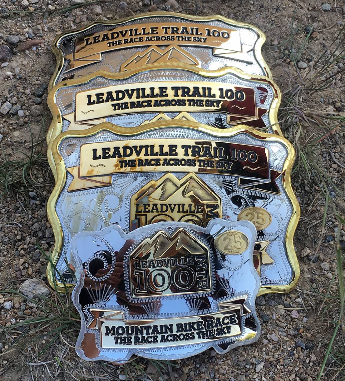 Leadville 100 Traildonkey