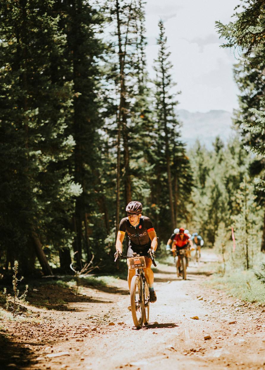 Leadville 100 Traildonkey