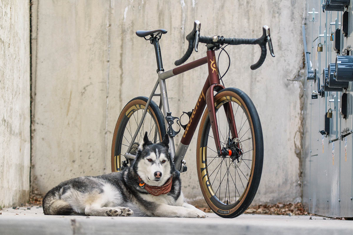 Spork bike shop