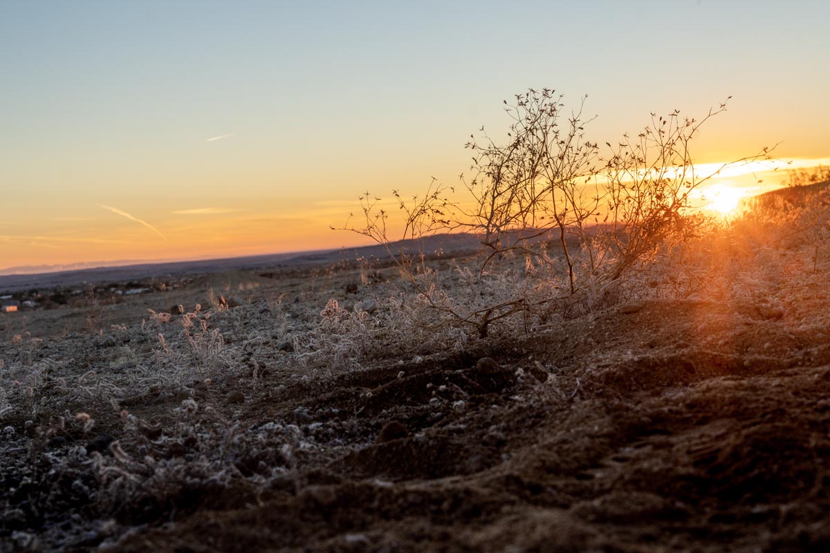 Bikepacking Anza Borrego