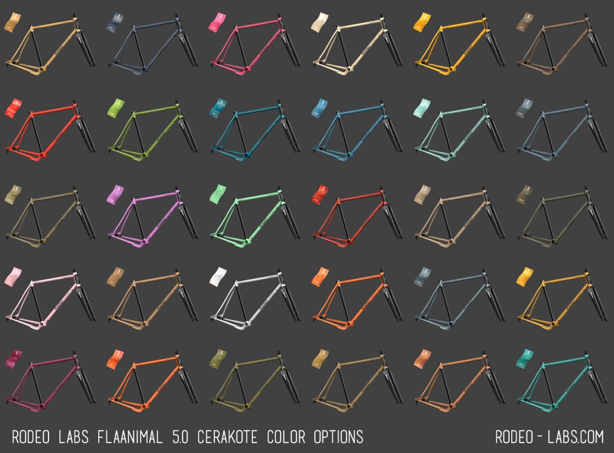 Flaanimal 5.0 - Image 22