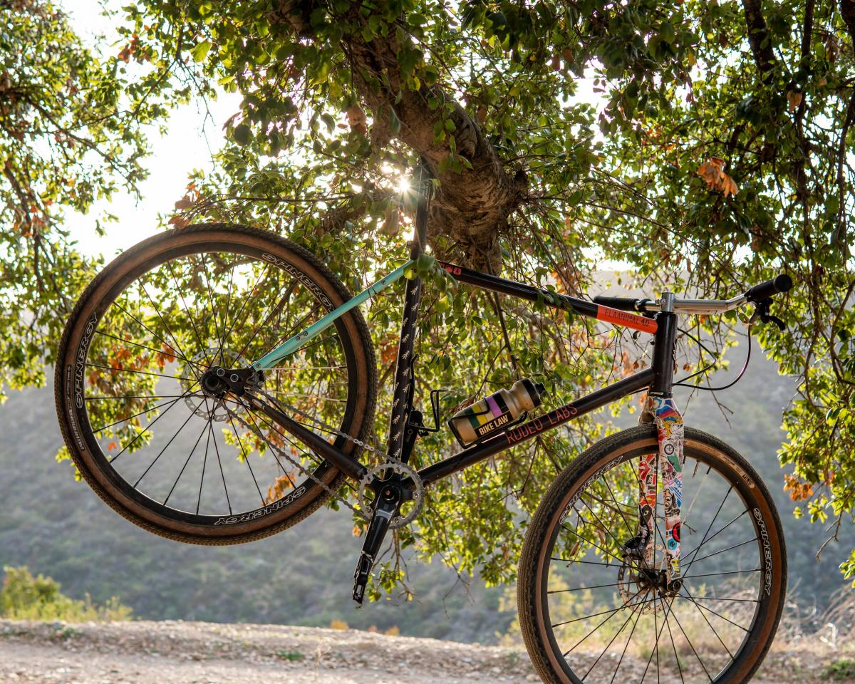 A bicycle in a tree