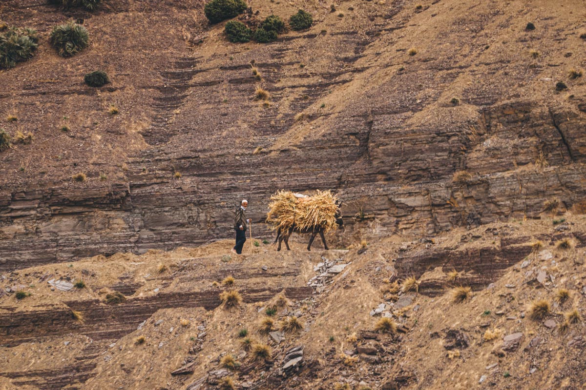 Atlas Mountain Race, Morocco, AMR 2020. Photo by Stephen Fitzgerald