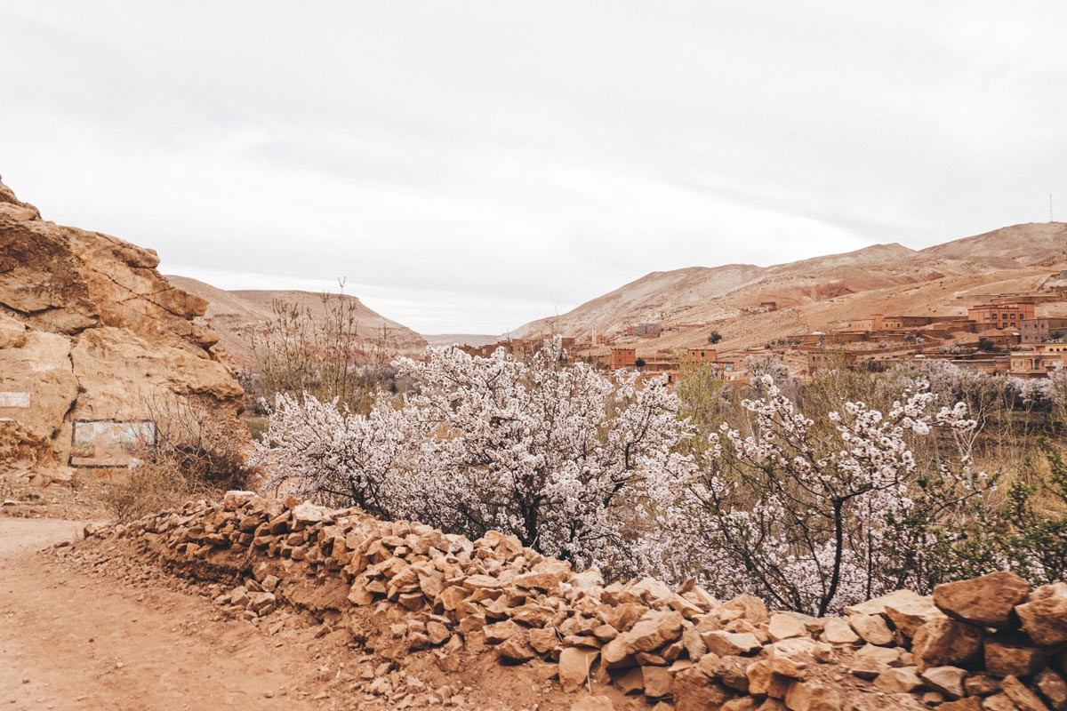 Atlas Mountain Race, Morocco, AMR 2020. Photo by Stephen Fitzgerald