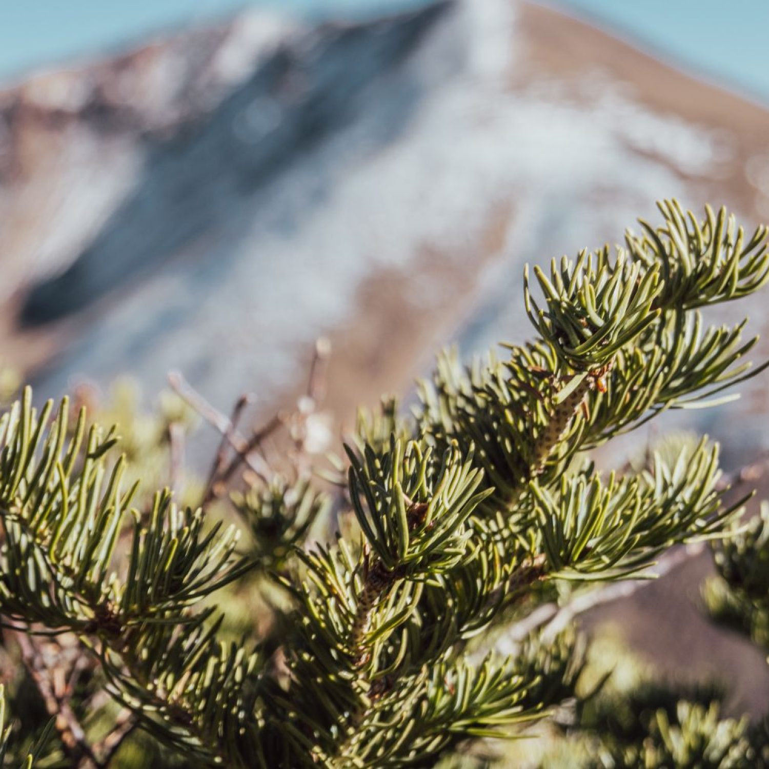 Jones Pass Trail, Continental Divide