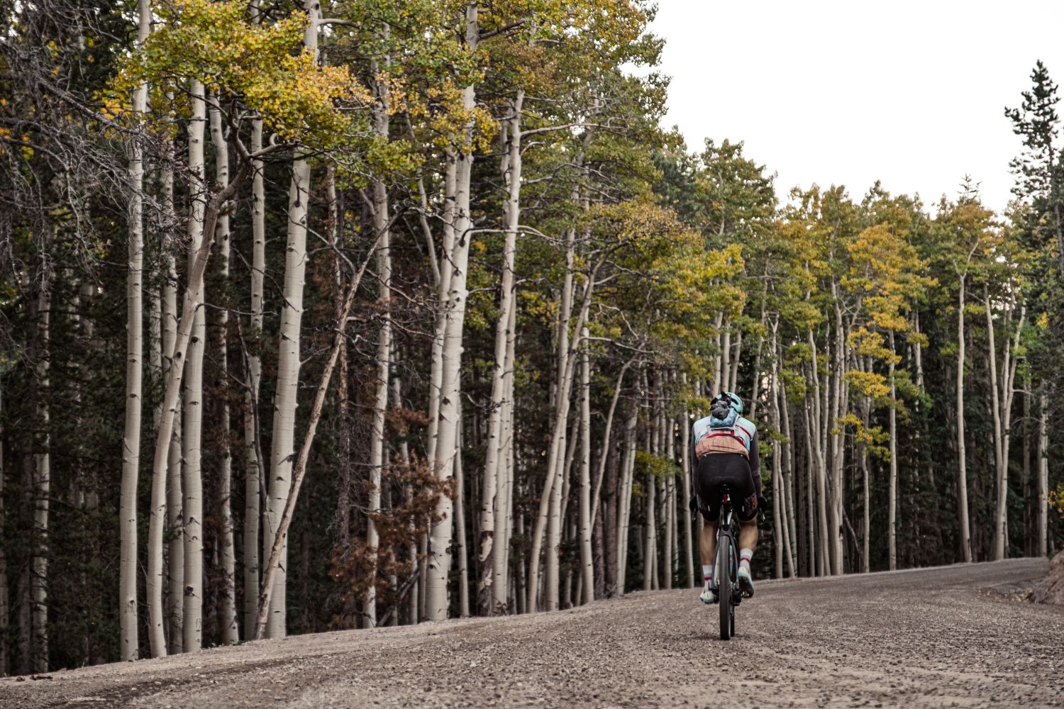 Little Bear Road, Idaho Springs