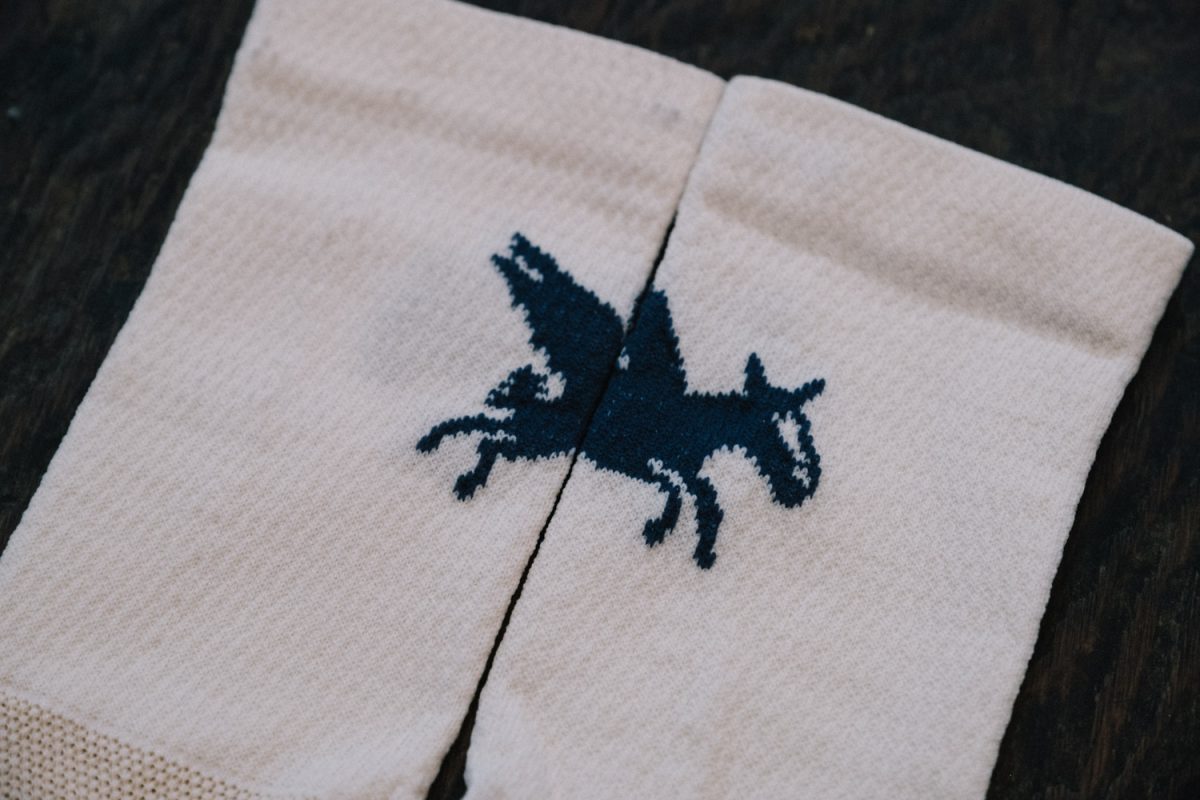 Ridge x Rodeo Southern Migration socks. - Image 3