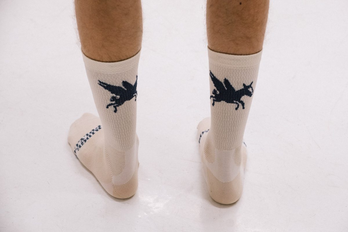 Ridge x Rodeo Southern Migration socks. - Image 8