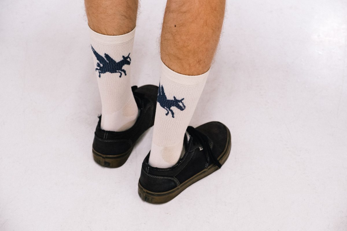 Ridge x Rodeo Southern Migration socks.