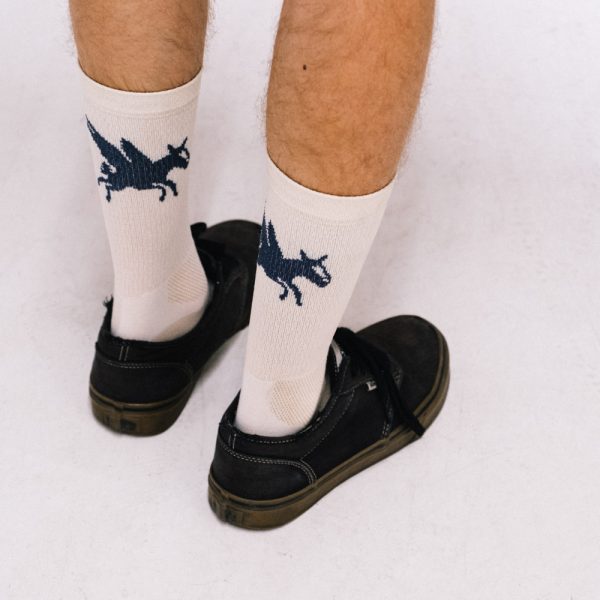 Ridge x Rodeo Southern Migration socks.