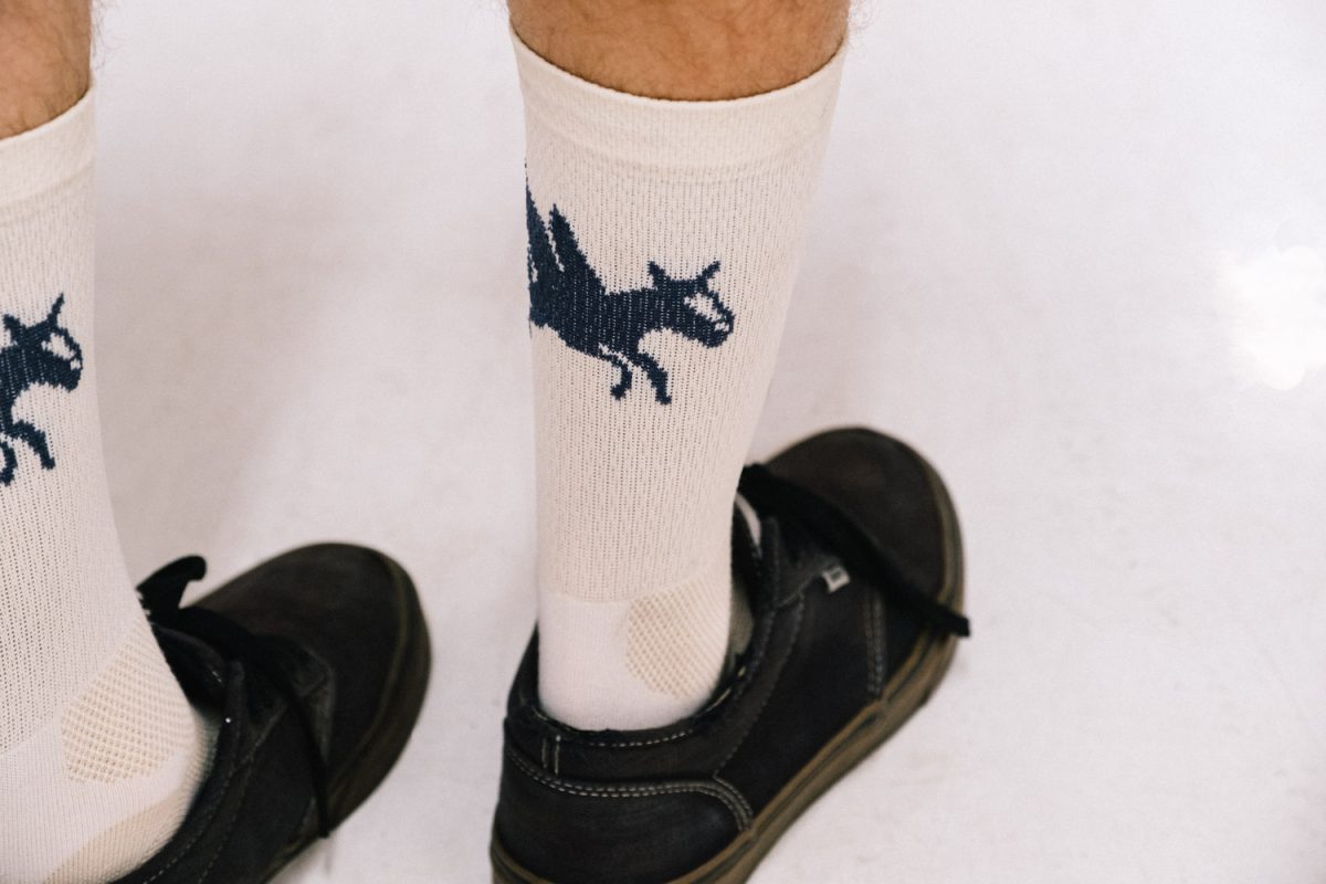 Ridge x Rodeo Southern Migration socks. - Image 4
