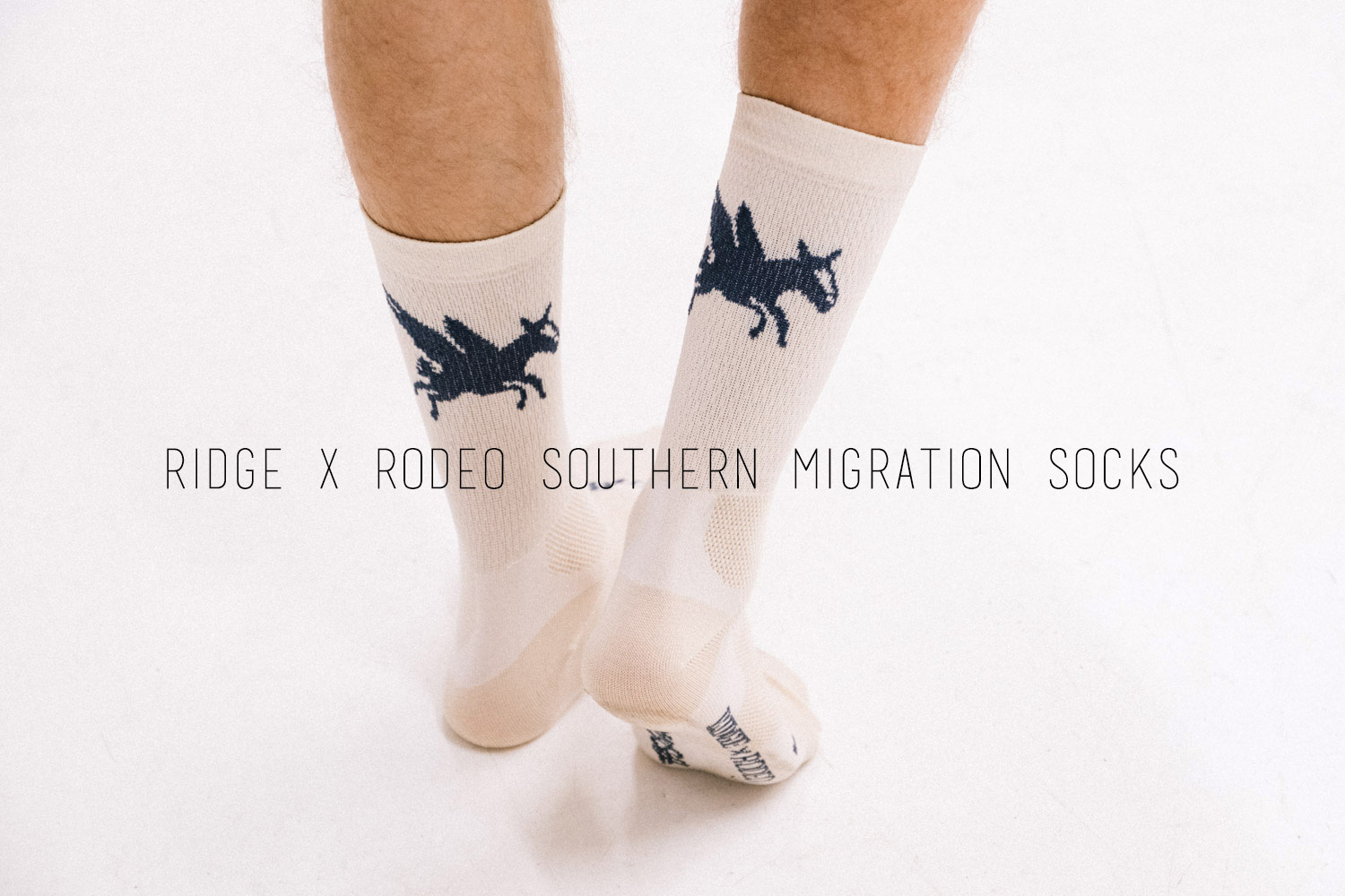 MIGRATION_SOCK_BANNER