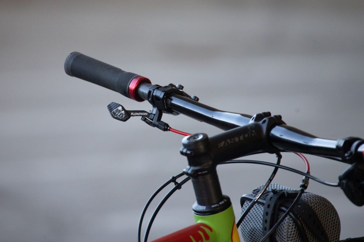 FL50 // 52cm // "Jurassic Flaanimal" // Flat Bar Dynamo - Image 10