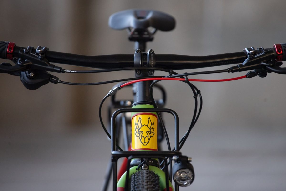 FL50 // 52cm // "Jurassic Flaanimal" // Flat Bar Dynamo - Image 5