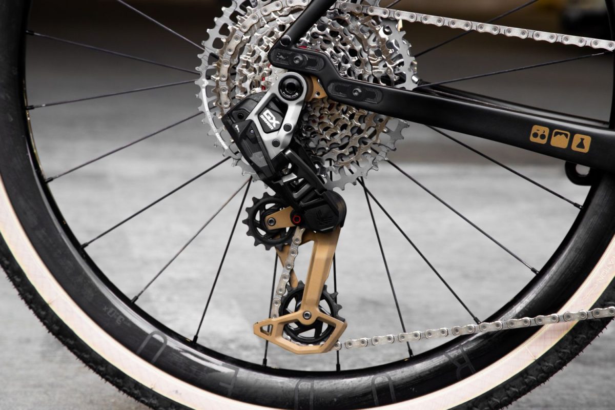 Rodeo Labs Traildonkey TD4.2 carbon bike with a view showing the new sliding dropouts with UDH. The rear derailleur is a Sram GX.
