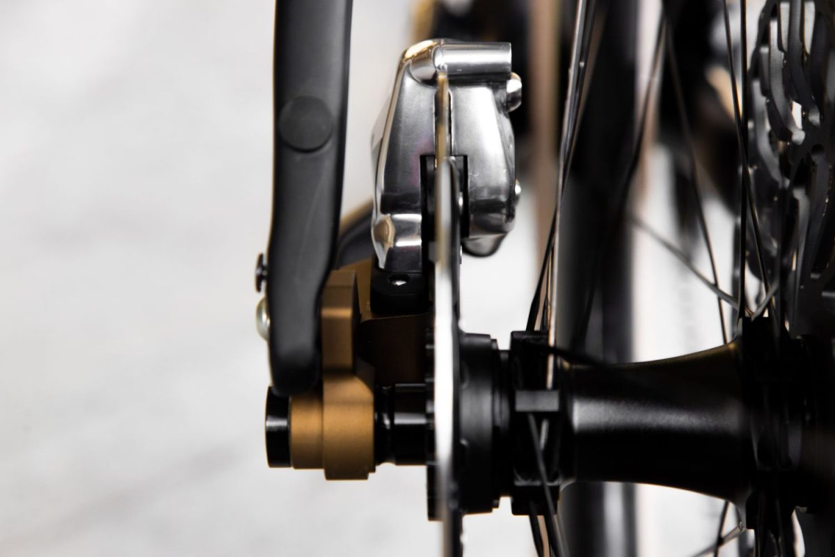 Rodeo Labs Traildonkey TD4.2 carbon bike rear view of brake mount showing caliper, rear hub, and sliding dropout.
