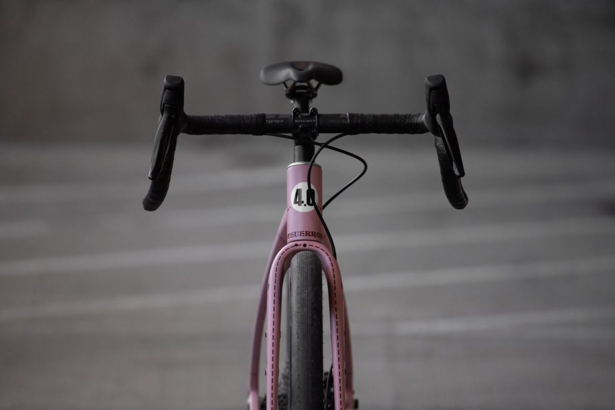 TD4 // 52cm // "The Pink Pig" // Rival AXS XPLR - Image 2