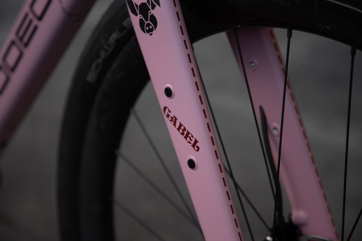 TD4 // 52cm // "The Pink Pig" // Rival AXS XPLR - Image 5