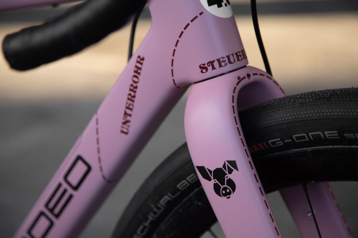 TD4 // 52cm // "The Pink Pig" // Rival AXS XPLR - Image 6