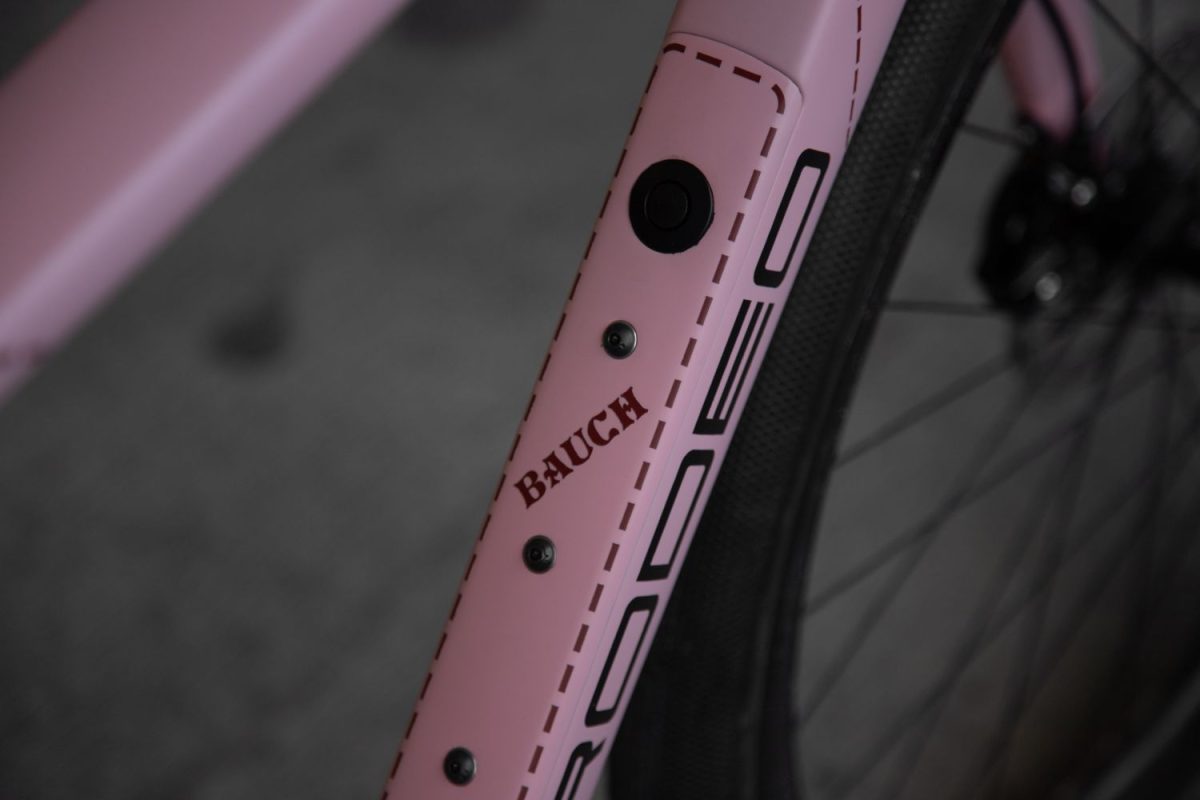 TD4 // 52cm // "The Pink Pig" // Rival AXS XPLR - Image 8