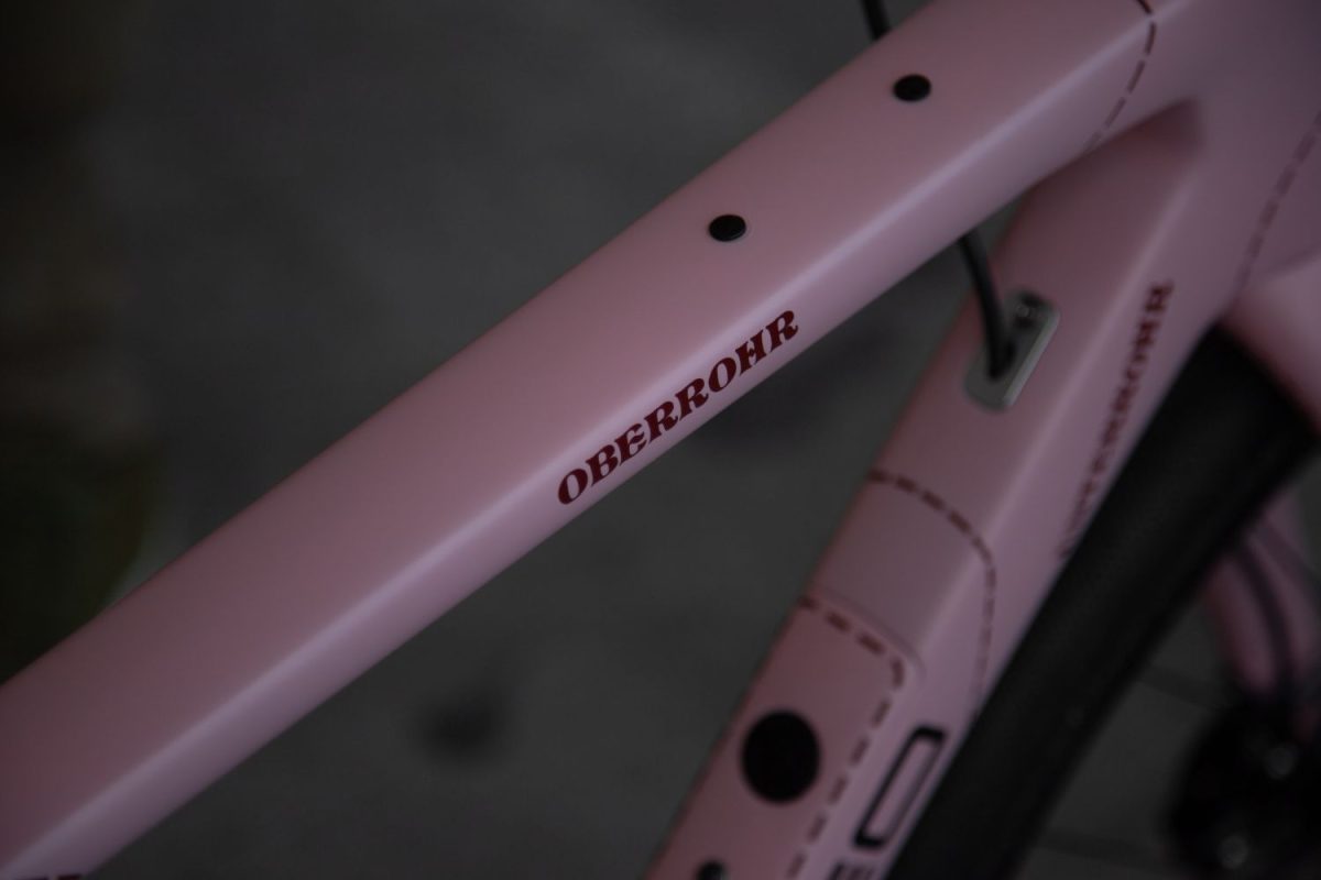 TD4 // 52cm // "The Pink Pig" // Rival AXS XPLR - Image 9