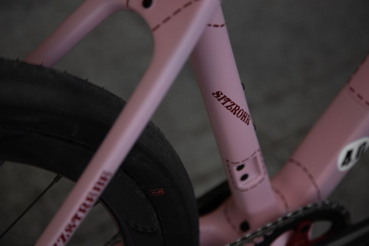 TD4 // 52cm // "The Pink Pig" // Rival AXS XPLR - Image 10