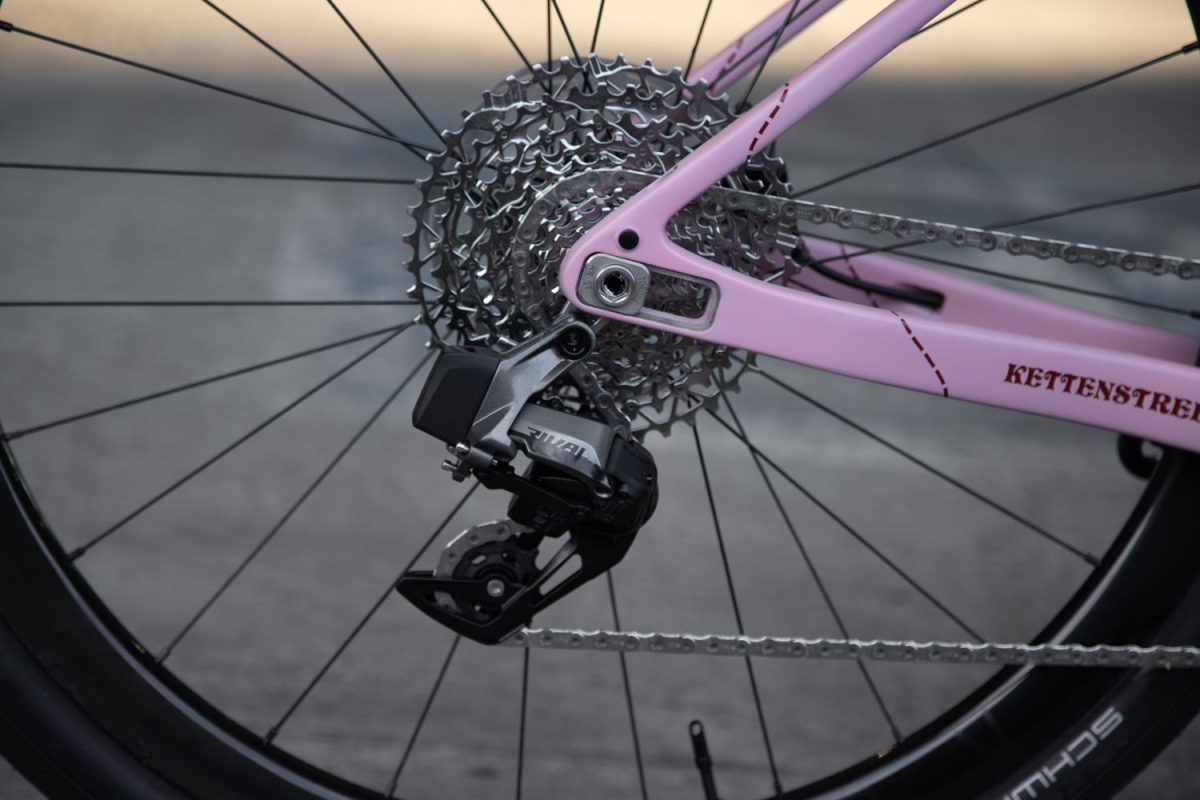 TD4 // 52cm // "The Pink Pig" // Rival AXS XPLR - Image 13