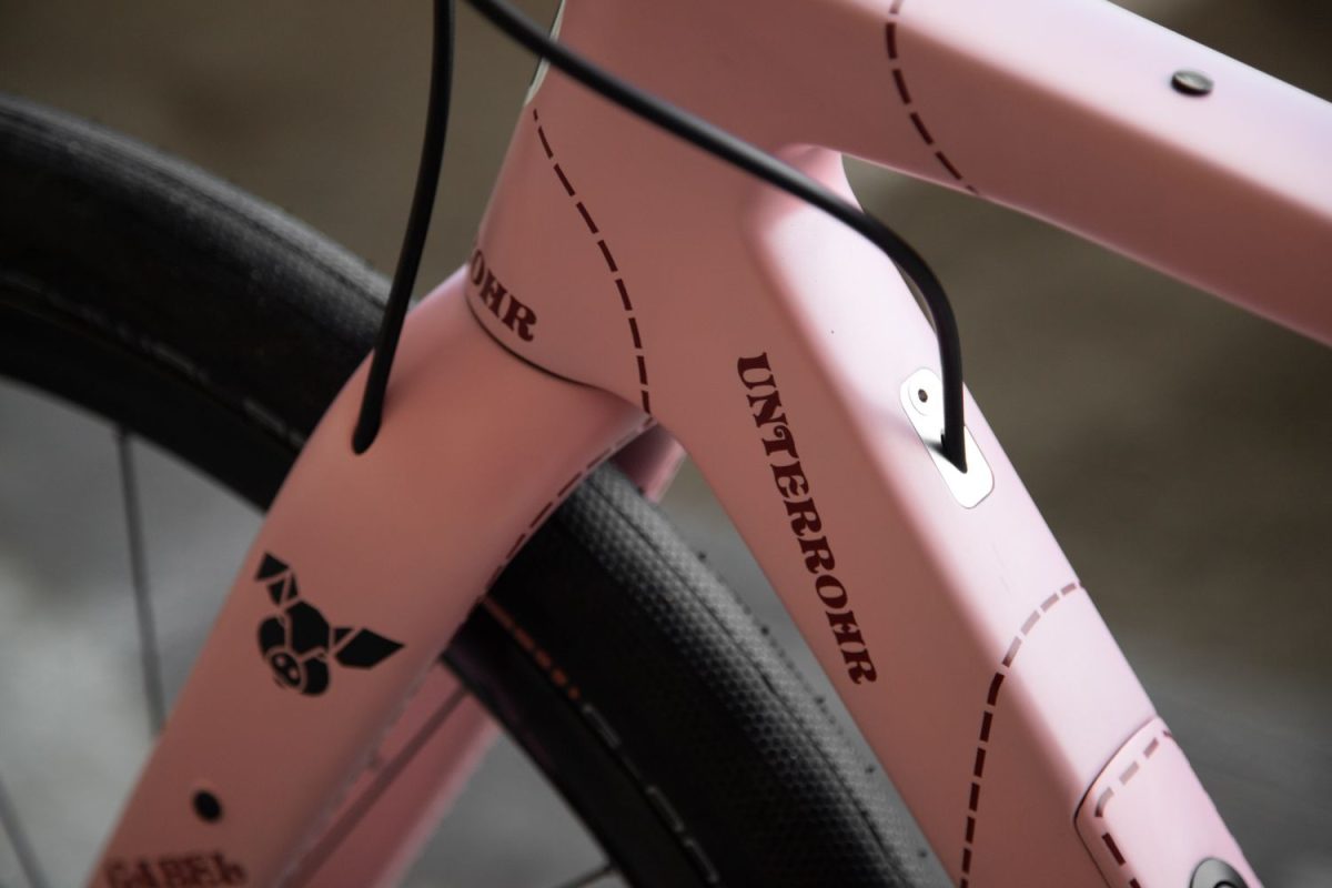 TD4 // 52cm // "The Pink Pig" // Rival AXS XPLR - Image 16