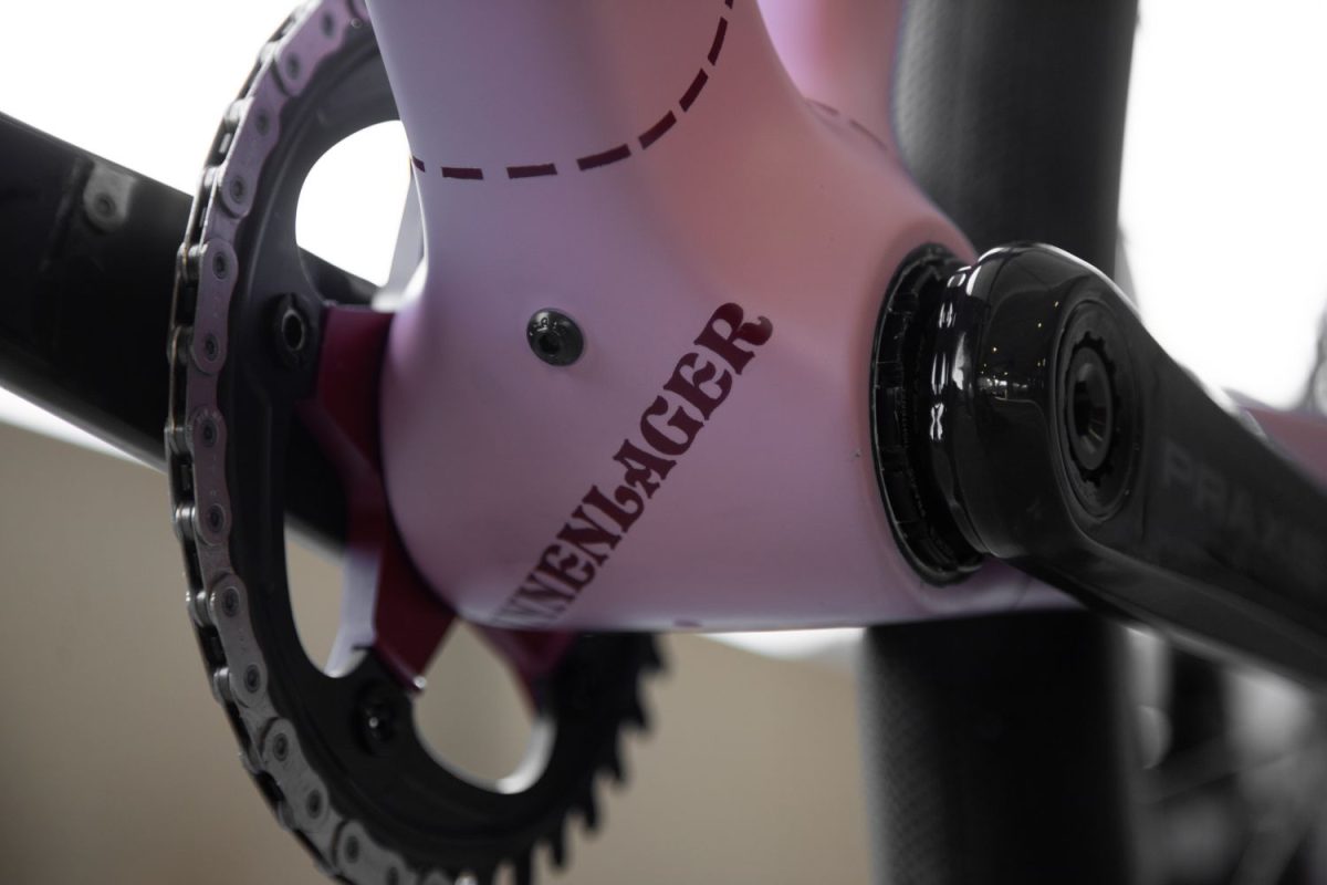 TD4 // 52cm // "The Pink Pig" // Rival AXS XPLR - Image 18