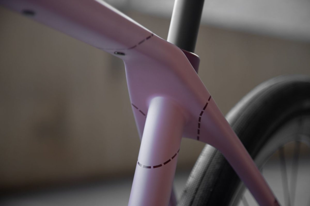 TD4 // 52cm // "The Pink Pig" // Rival AXS XPLR - Image 19