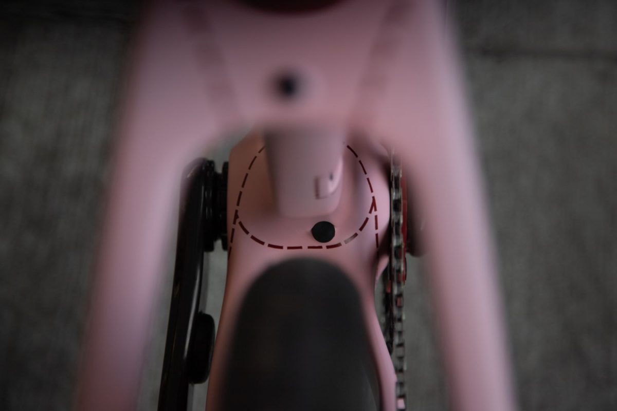 TD4 // 52cm // "The Pink Pig" // Rival AXS XPLR - Image 23