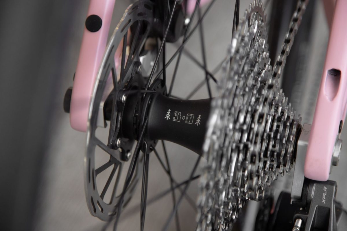 TD4 // 52cm // "The Pink Pig" // Rival AXS XPLR - Image 24