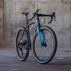 Flaanimal 5.0 // GRX 12s // 54cm // Blue Team