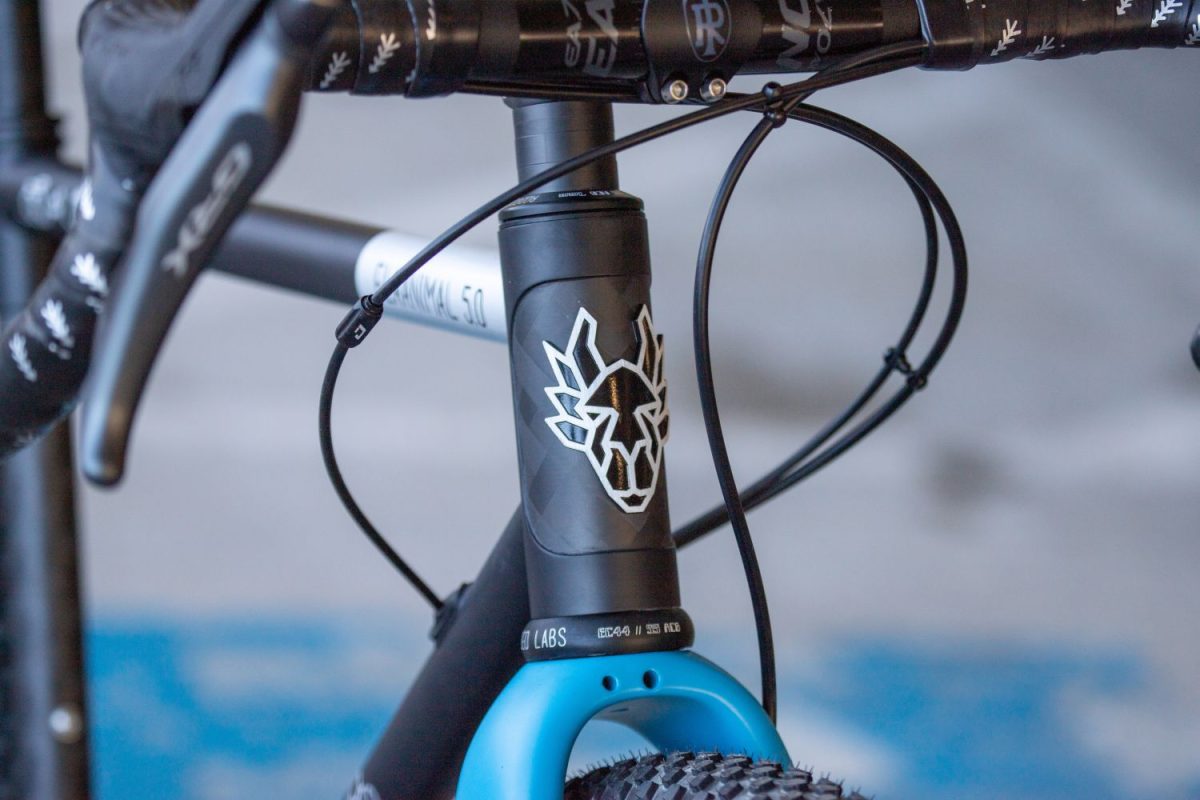 Flaanimal 5.0 // GRX 12s // 54cm // Blue Team - Image 10