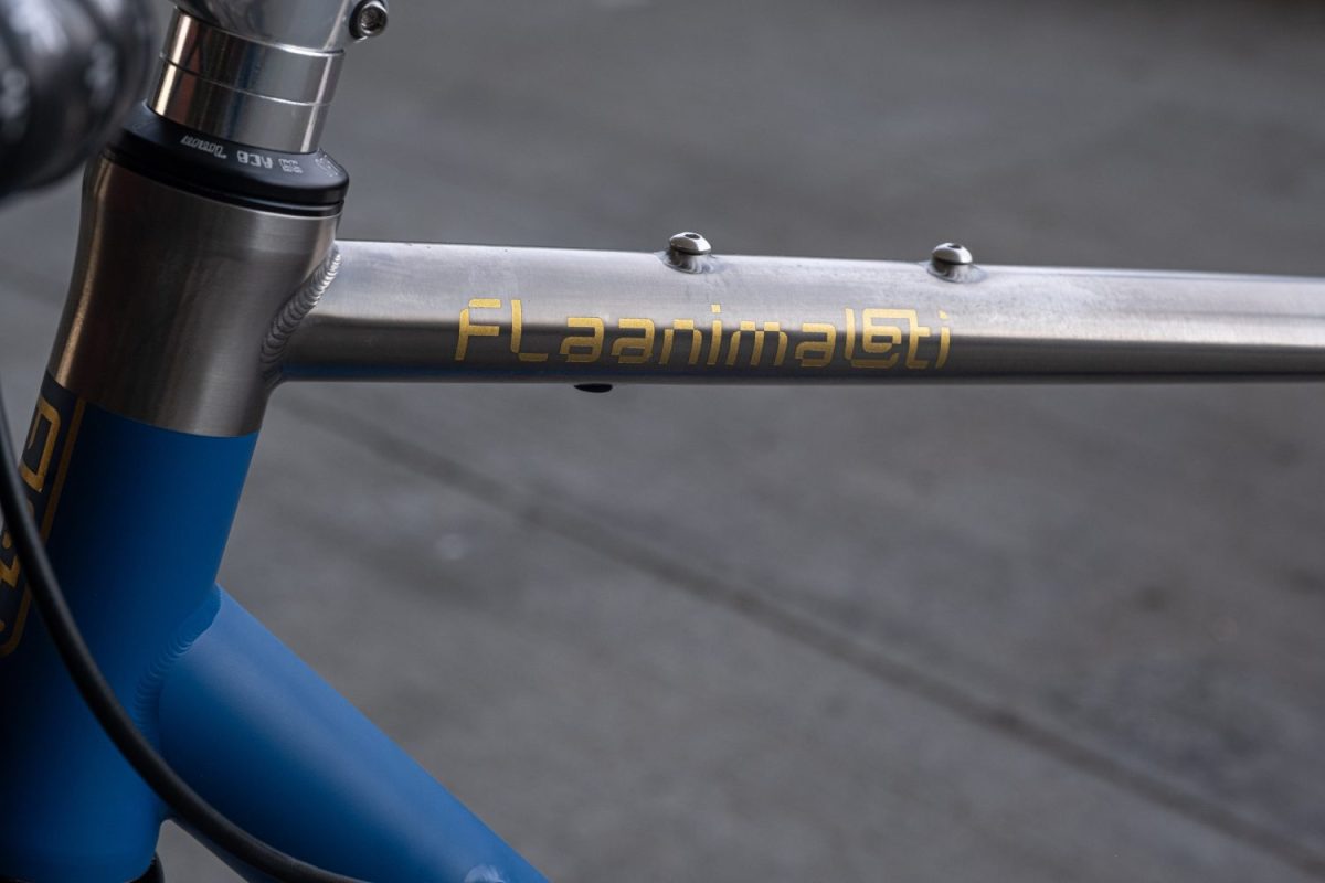 Flaanimal 6 Titanium // 54cm // UnRivaled // Ready To Roll - Image 10