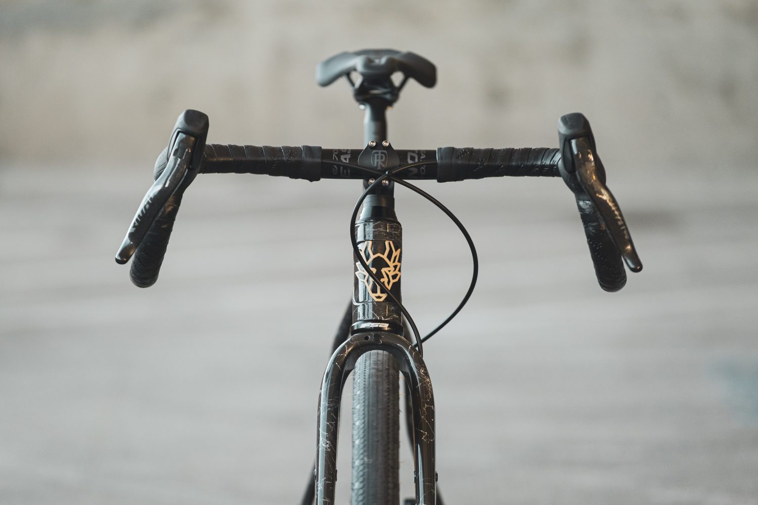 Flaanimal 5.0 // 52cm // Rival AXS XPLOR // Italian Marble - Image 3