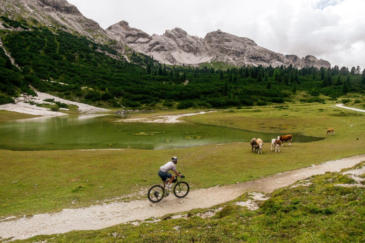 Rodeo Italy Summer Camp 2025